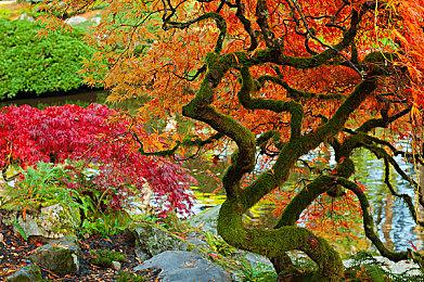 经营+恋爱《奇迹零食店》5月26日登陆Xbox Series